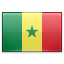 shiny Senegal icon